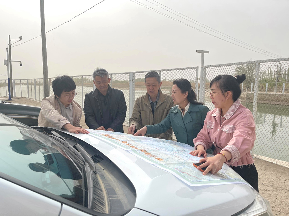 图片4.jpg